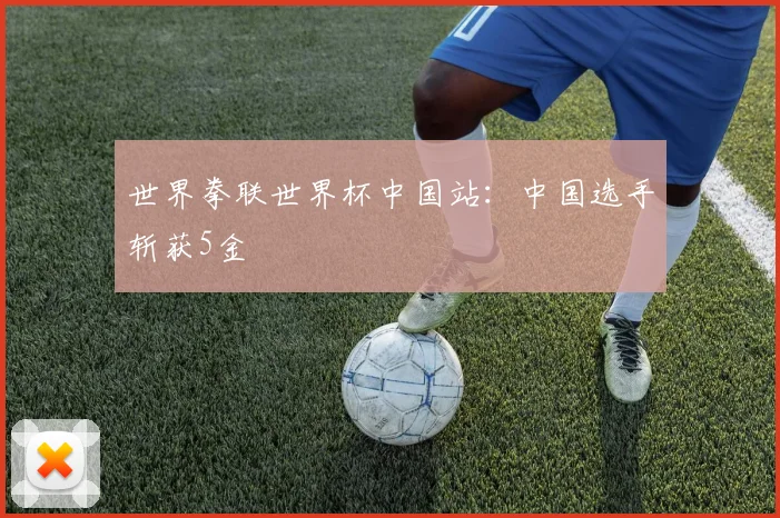 世界拳联世界杯中国站：中国选手斩获5金